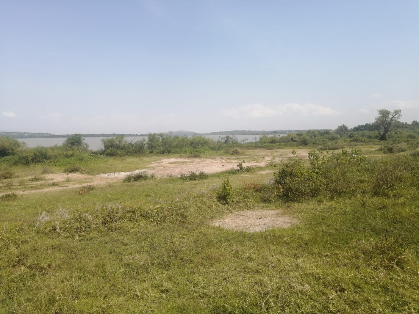 Renava Investors and Consultants Limited Leading real estate company