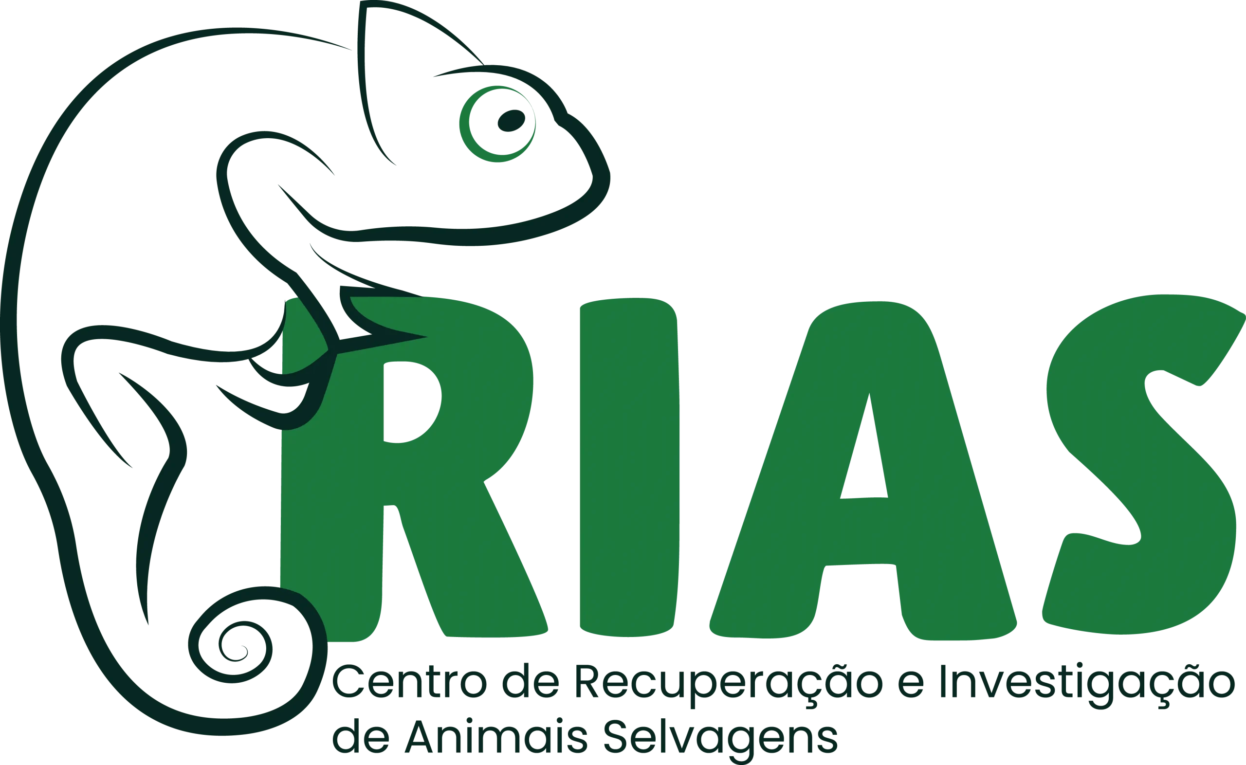 A nova coordenação do RIAS RIAS