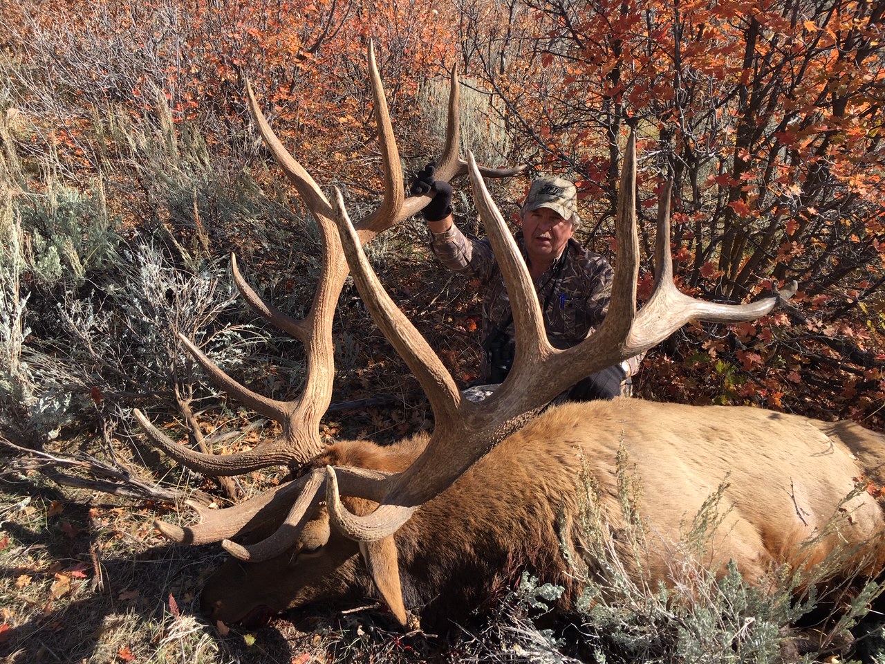 Elk Riata Worldwide Hunting & Fishing