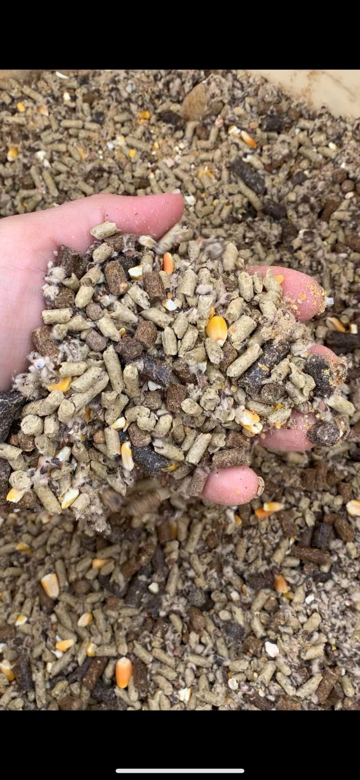 Bulk Cattle Feed, 0314 Ribear Cattle Co.