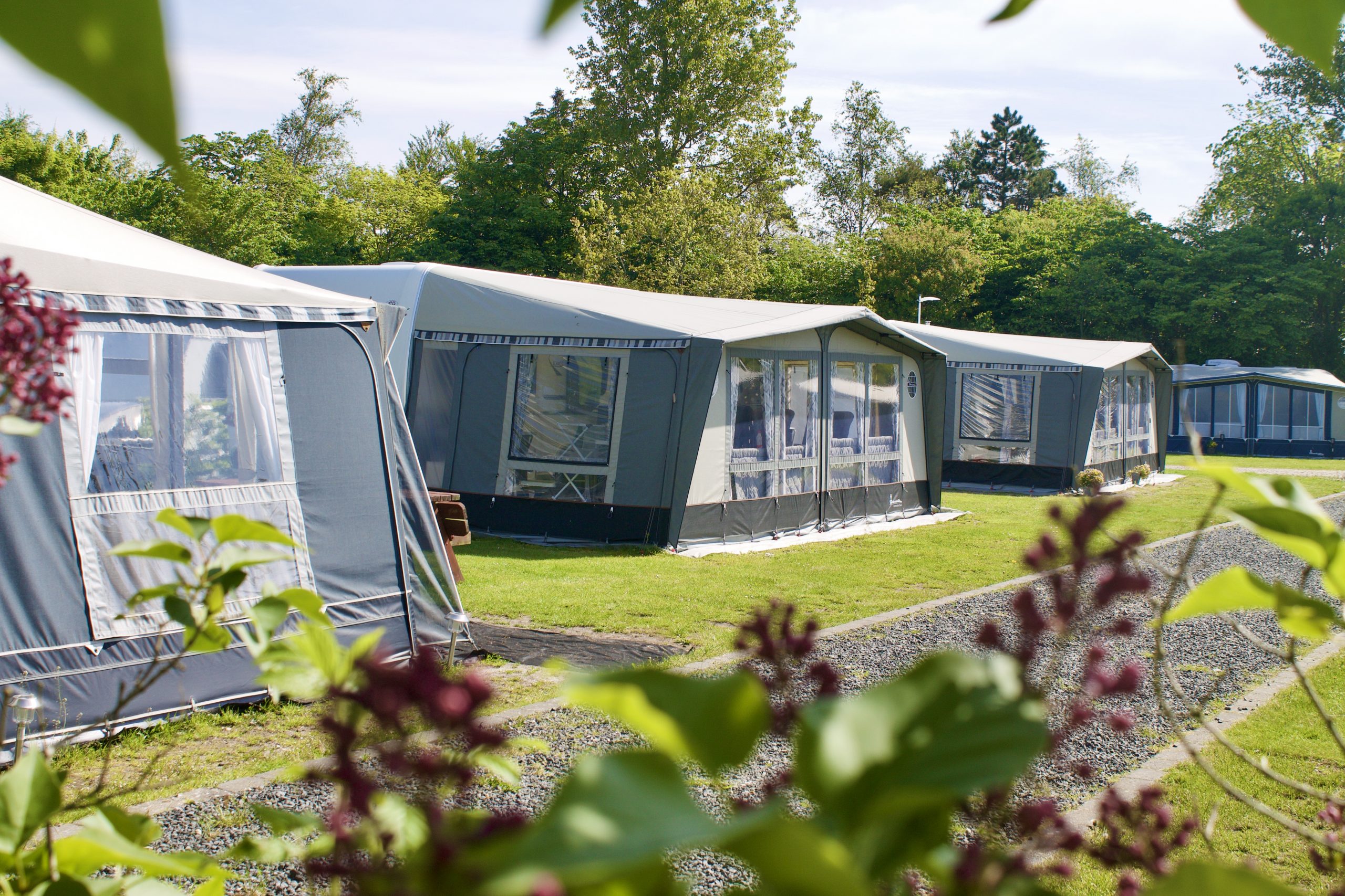 Ribe Camping Campingplads for hele familien ved Vadehavet