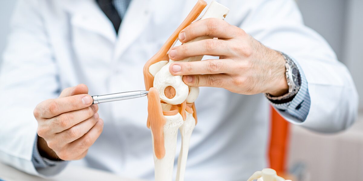 How to Make Joints Stronger Woodstock’s Health Tips