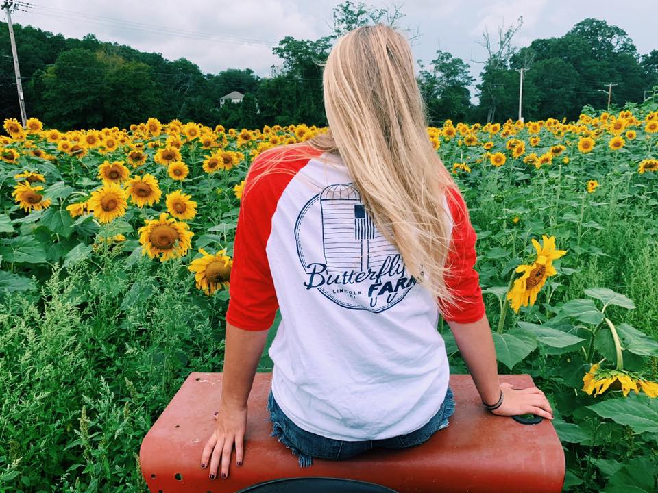 Sunflower Fest 2022 Butterfly Farm Things To Do In Rhode Island