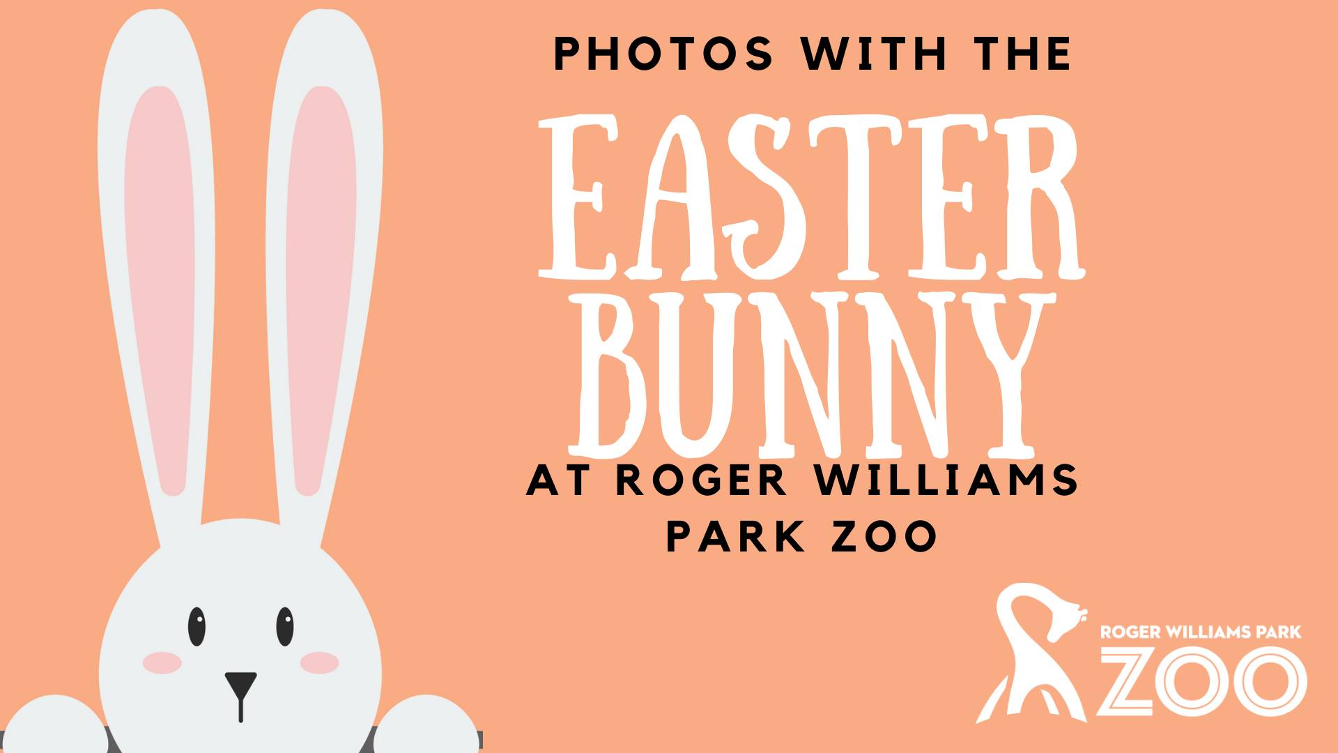 Visit with the Easter Bunny at Roger Williams Park Zoo Things To Do
