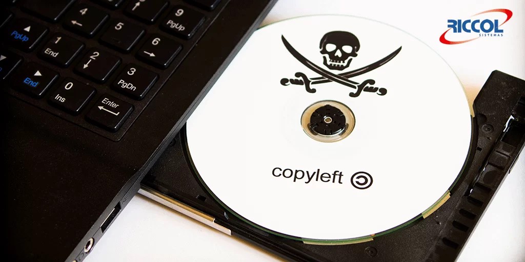 Software Original Por que usar? Riccol Sistemas