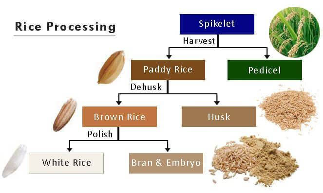 Rice Processing Technology, How Rice is Processed Rice Milling Rice Processing Technology, How Rice is Processed Rice Milling