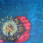 Reflections Like Echos - Sarah Kwan