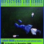 Reflections Like Echos Flyer