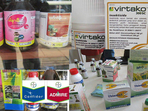 Insecticide resistance