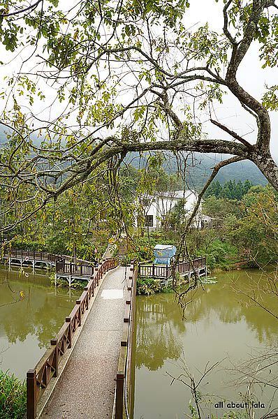 台灣好行 一去再去的南庄與向天湖 湖中央品咖啡享悠閒