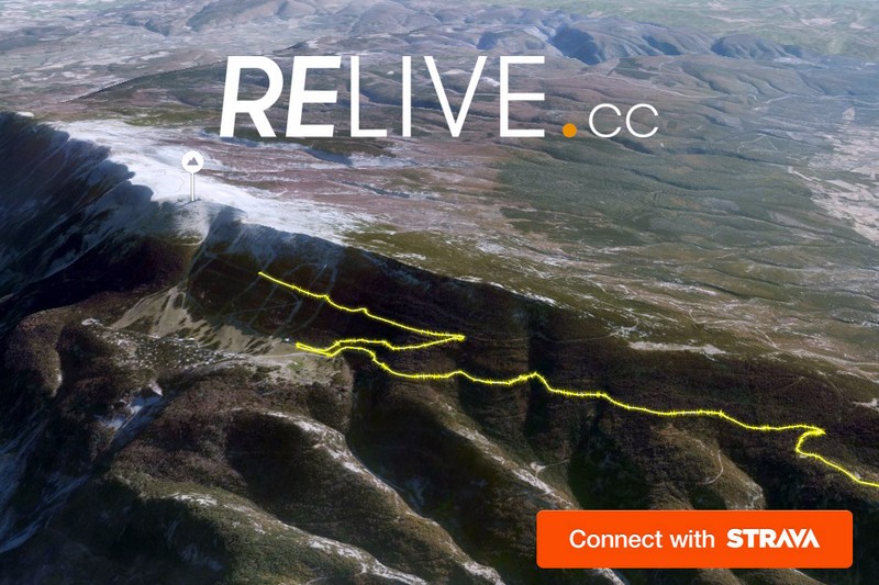 RicercAttiva Recensione dell'app mobile Relive