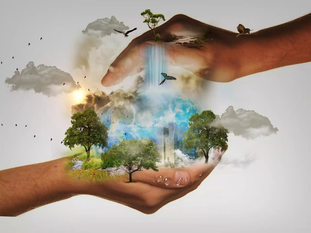 What Is The Role of Humans In Protecting Our Environment Richannel