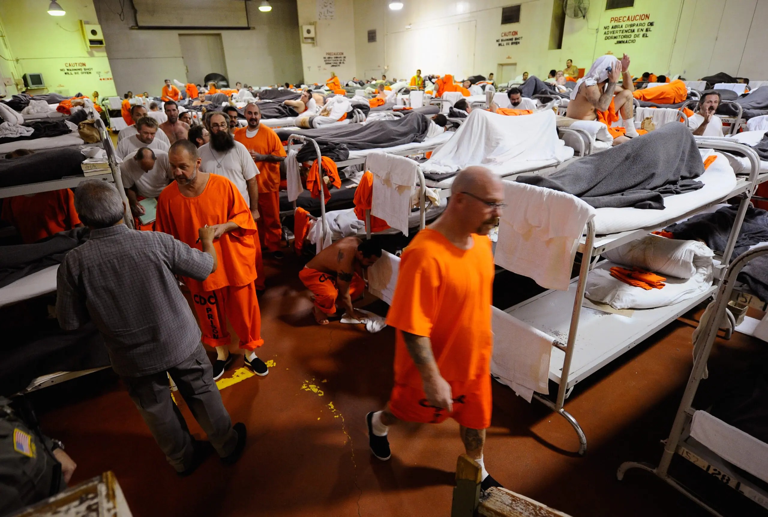 Inmate Search By State Differences And Similarities In Inmate Search