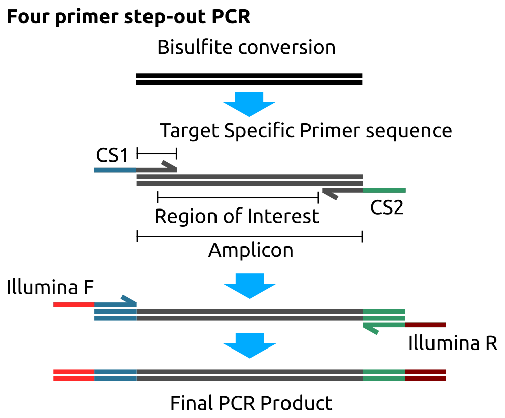2 Methods The Epigenomics of Human Ageing