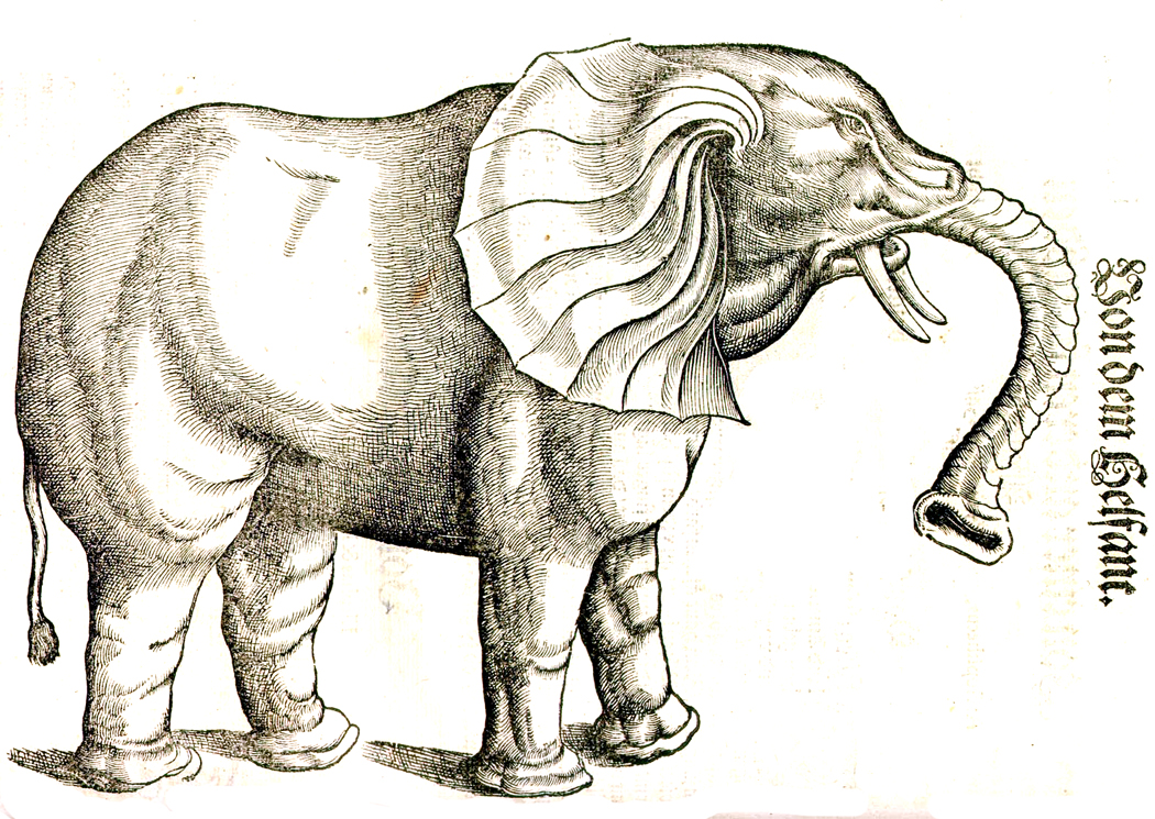 Sentences like snakes; words like candy Richard Nilsen