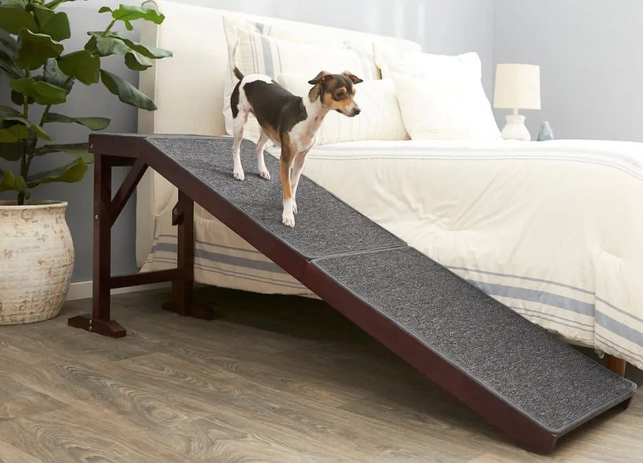 The Best Dog Bed Ramp 8 Great Picks for Independent Pups Richard