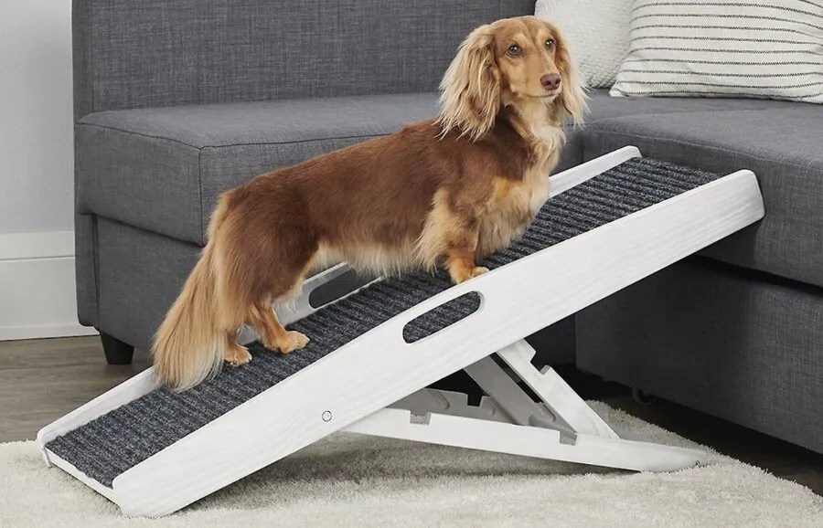 The Best Dog Bed Ramp 8 Great Picks for Independent Pups Richard