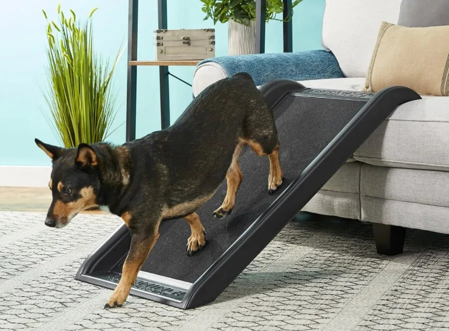 The Best Dog Bed Ramp 8 Great Picks for Independent Pups Richard
