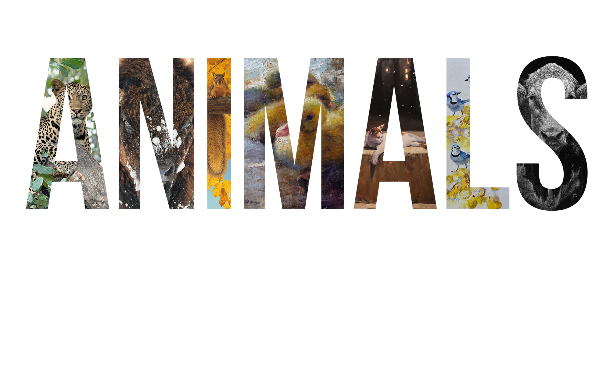 Animals, Birds & Wildlife 2021