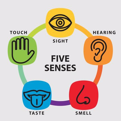 Excellent 5 Senses Examples To Empower Your Writing - Richie Billing