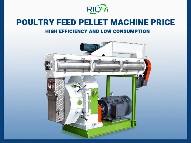 Poultry Feed Pellet Machine Price RICHI Pelletizer