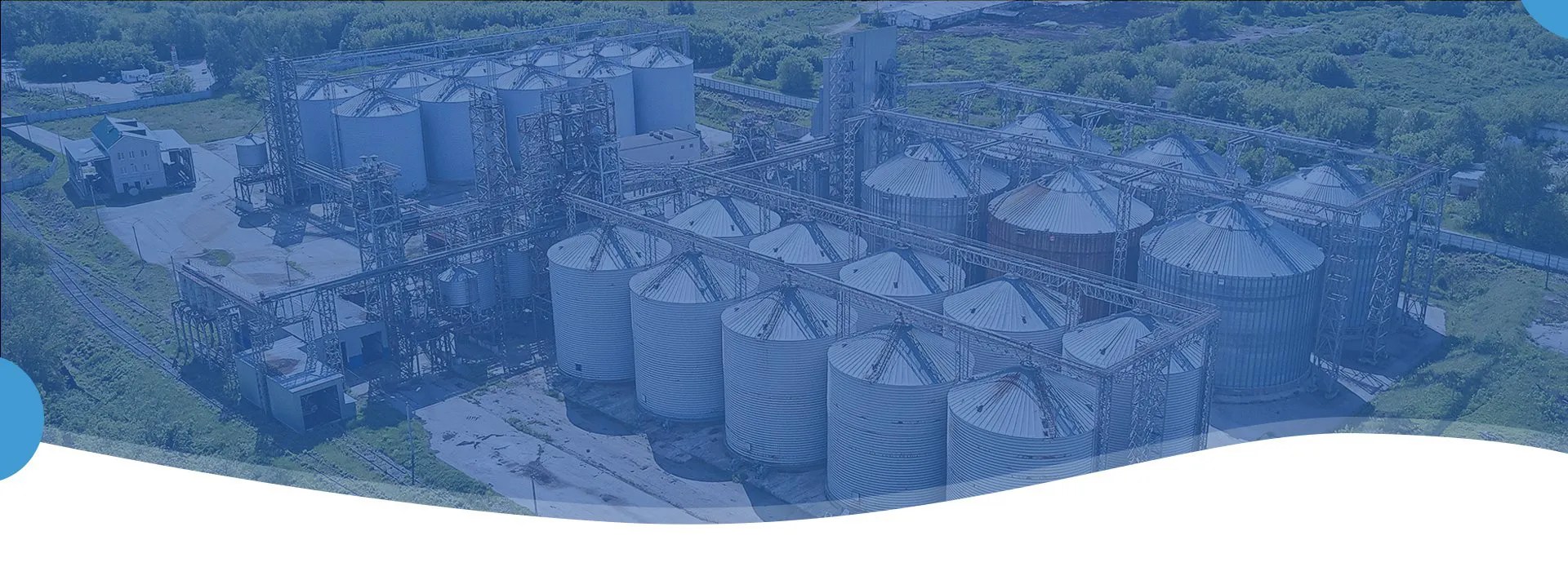 How Much Does Fish Feed Mill Plant Cost RICHI Pelletizer