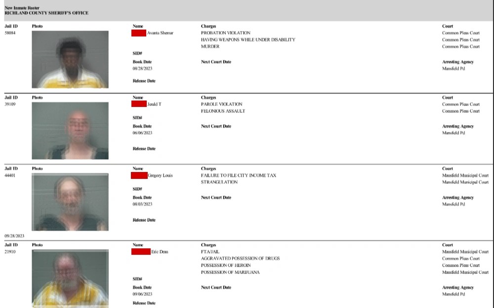 Look Up Free Richland County Public Records (StepbyStep Resource)