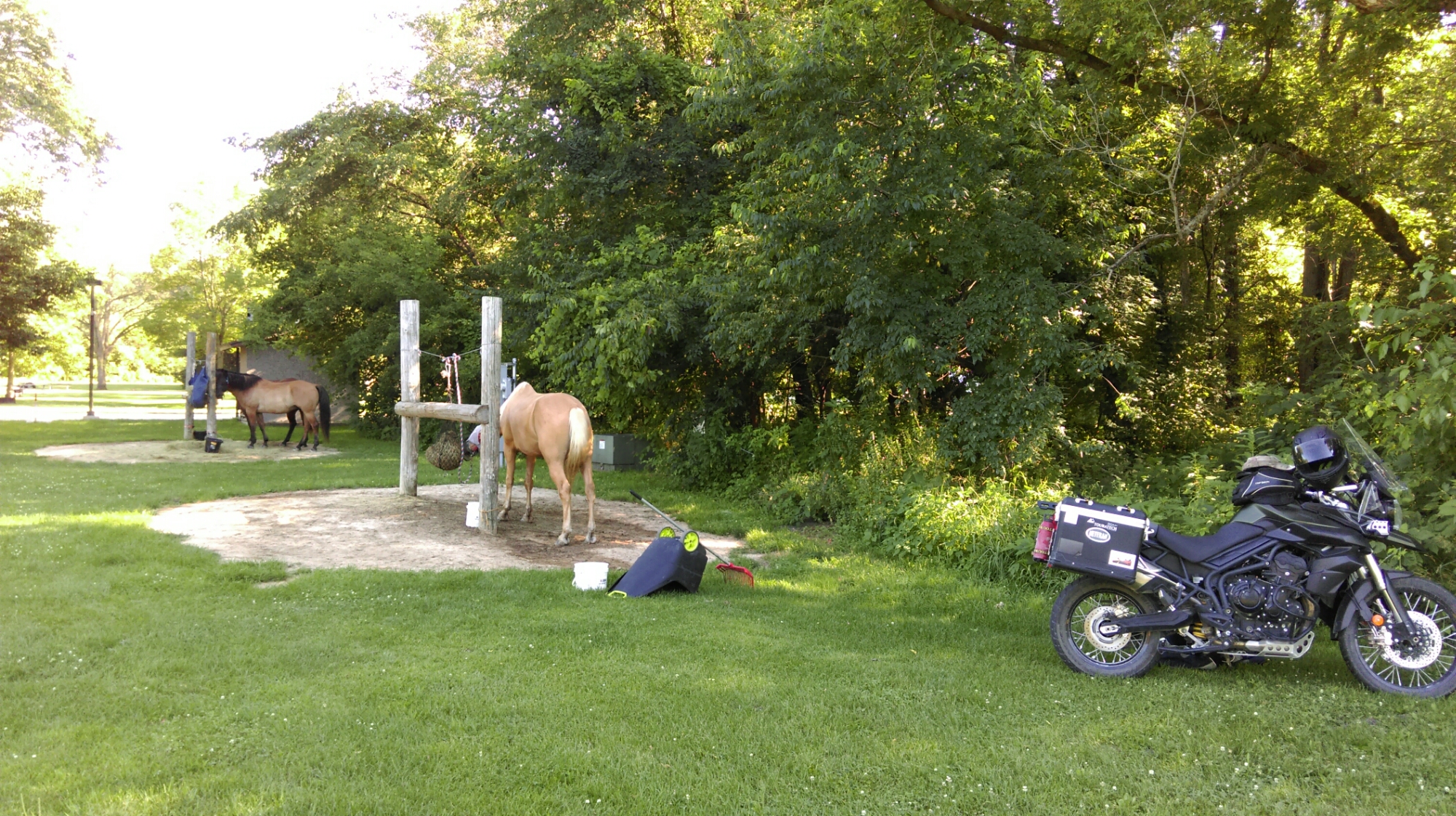 Volga State Park richmeldahl's Blog