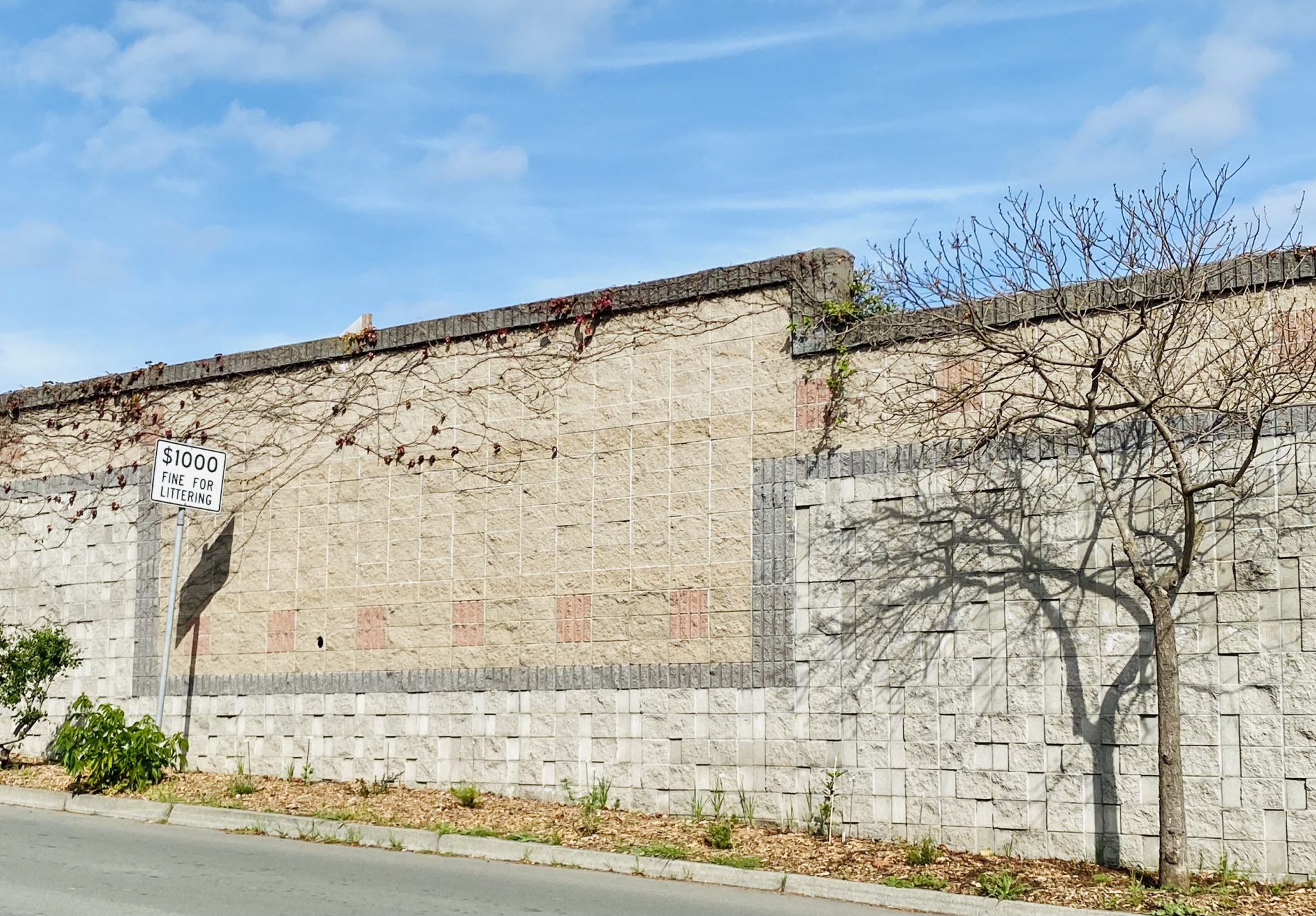 Panhandle Annex neighborhood 'loves their block' with project teamwork Richmond Standard