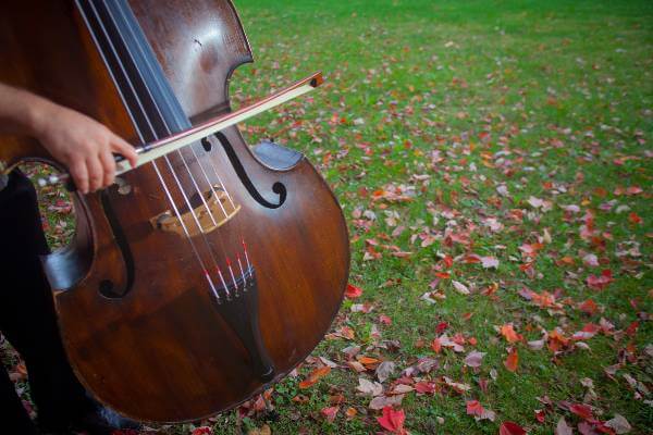 Richmond Symphony Events 2023 Events Calendar