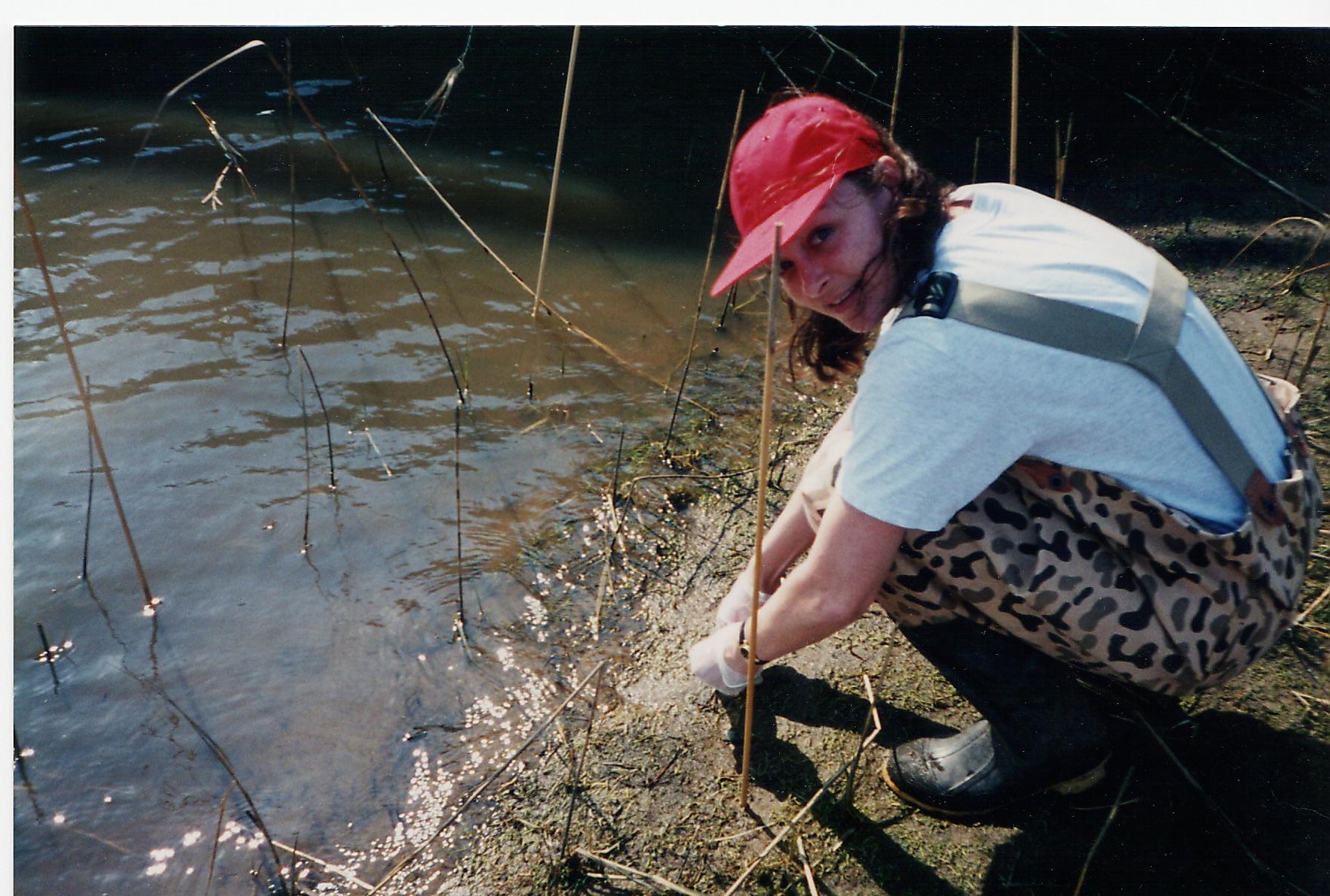 Diatomaceous Earth (food grade) Bug Killer You Can Eat!
