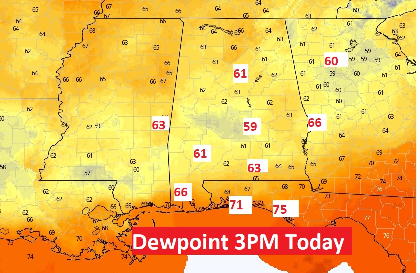 THURSDAY Update Lower Humidity For Now Stormfree for Several Days Rich Thomas