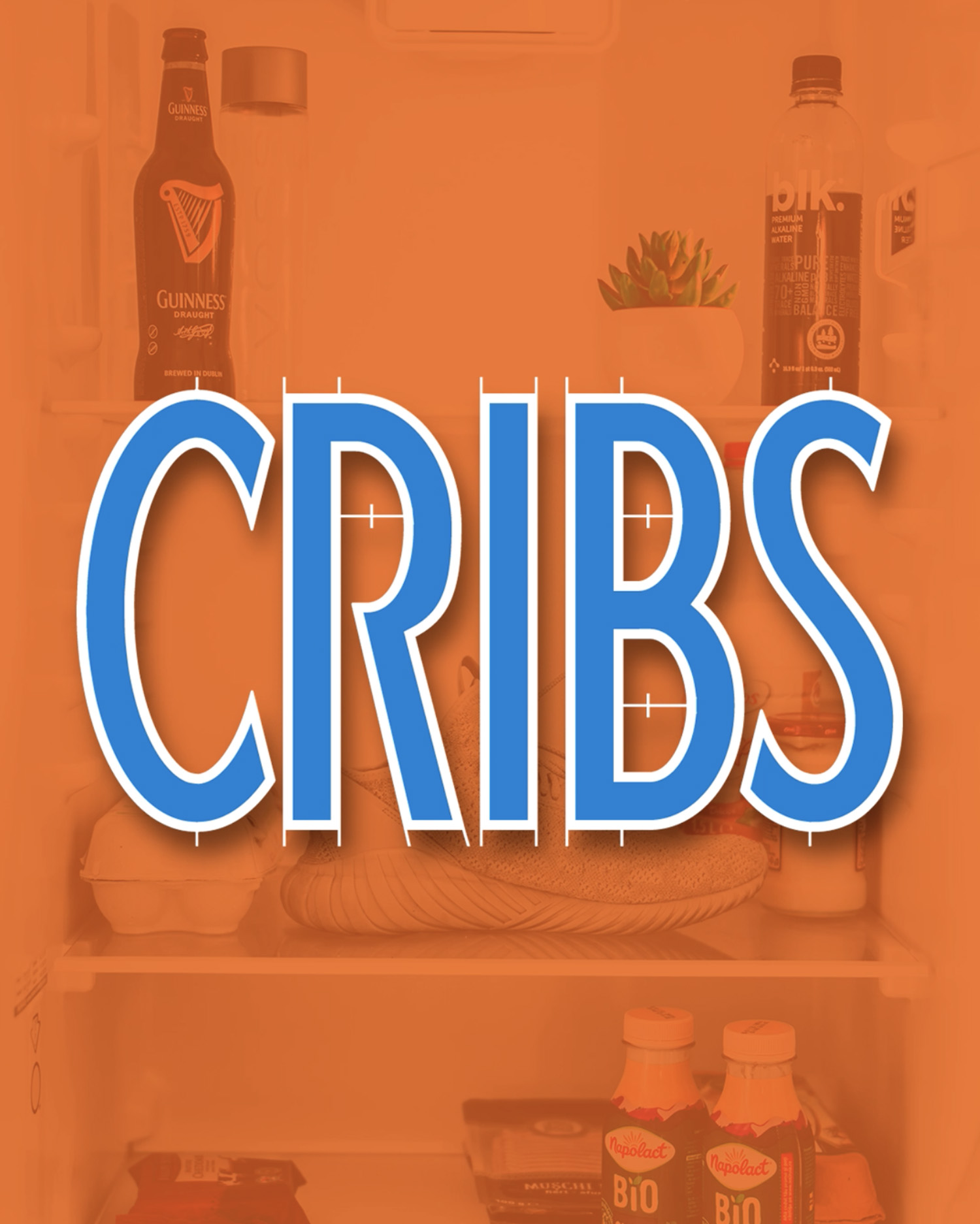 MTV CRIBS x TikTok · Rich Tu