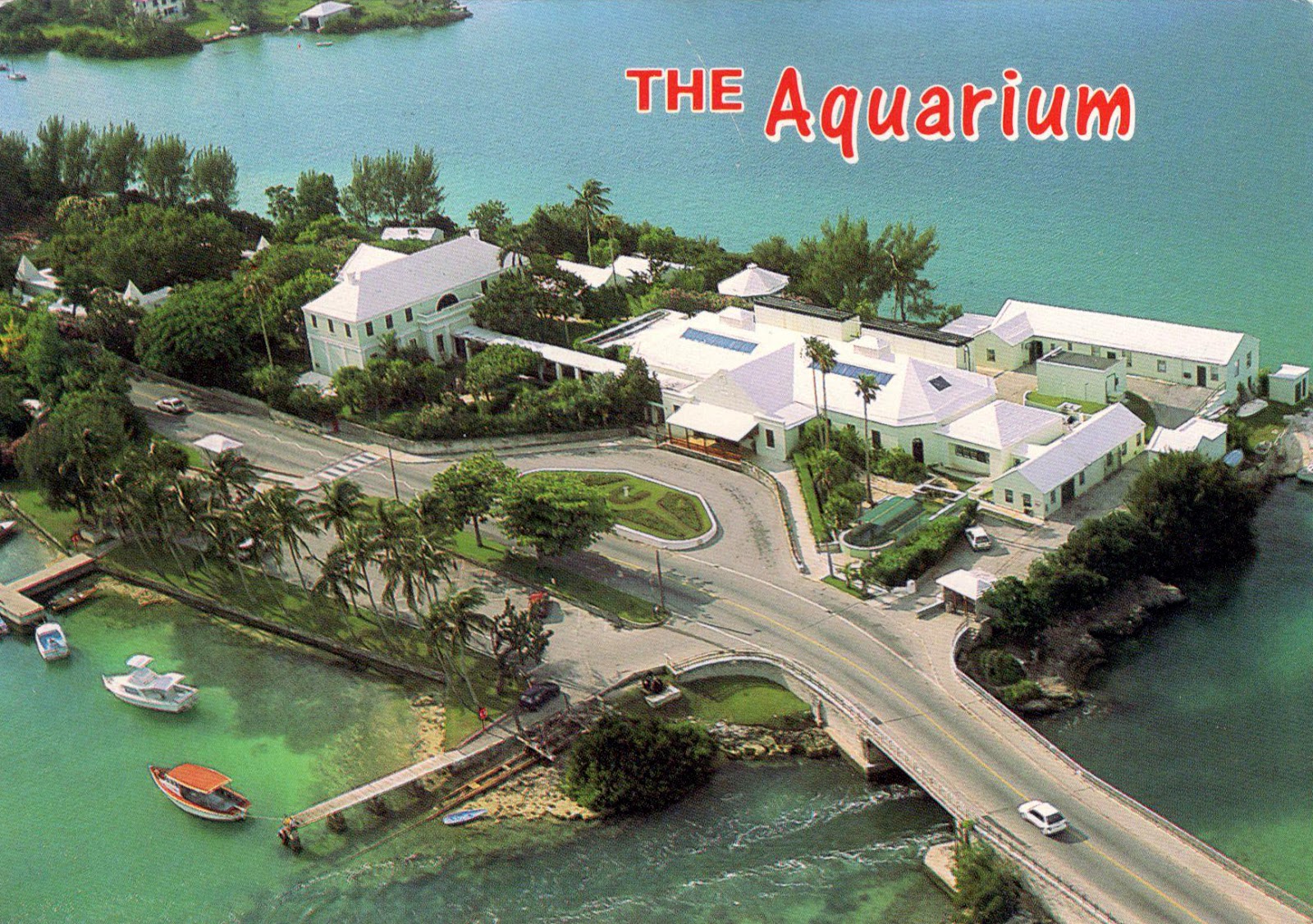 Seals, turtles, fish, monkeys, birds, and the first living coral reef exhibit in the world: Bermuda Aquarium, Museum & Zoo Rick McCharles