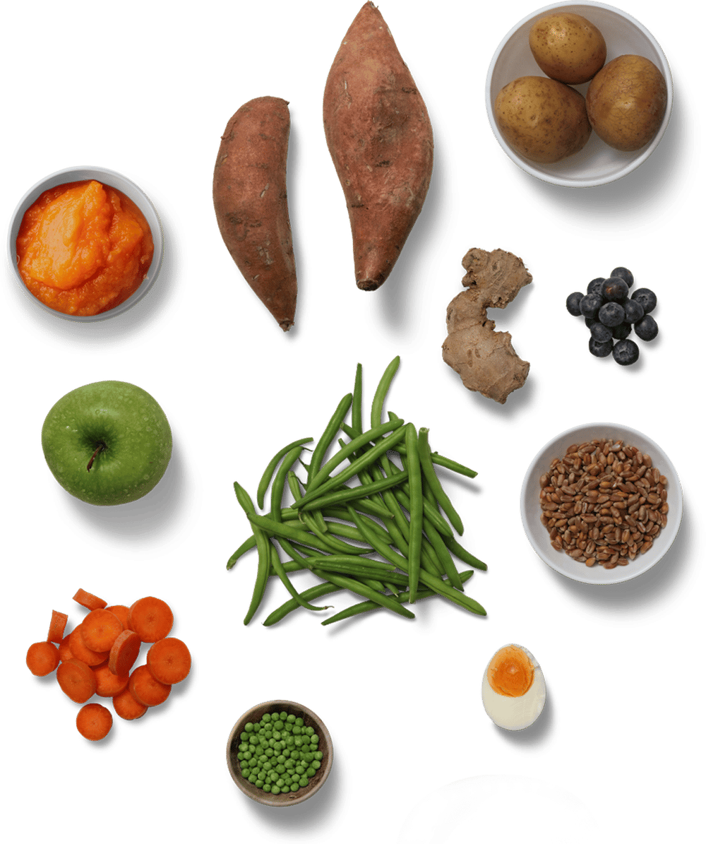 Rick's Dog Deli Fresh Orlando Dog Food