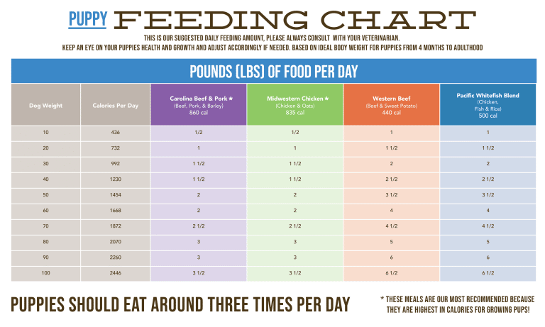 Feeding Chart - Rick's Dog Deli