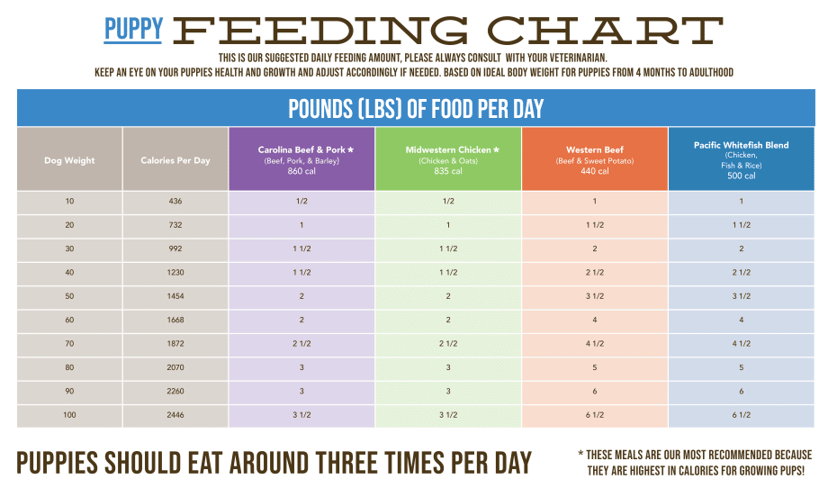 Feeding Chart Rick's Dog Deli
