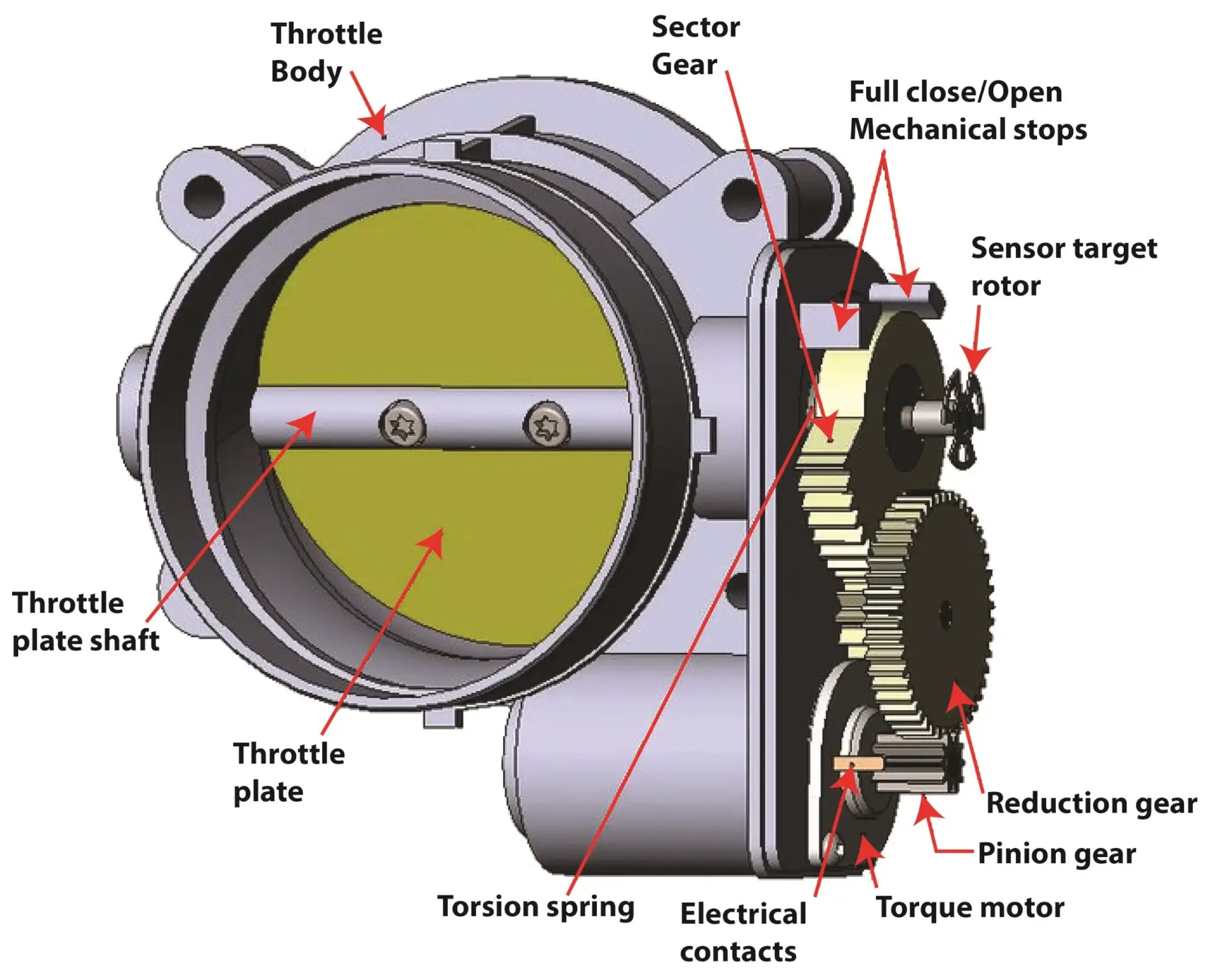 How to Diagnose a Throttle Body Code Like a Pro — Ricks Free Auto