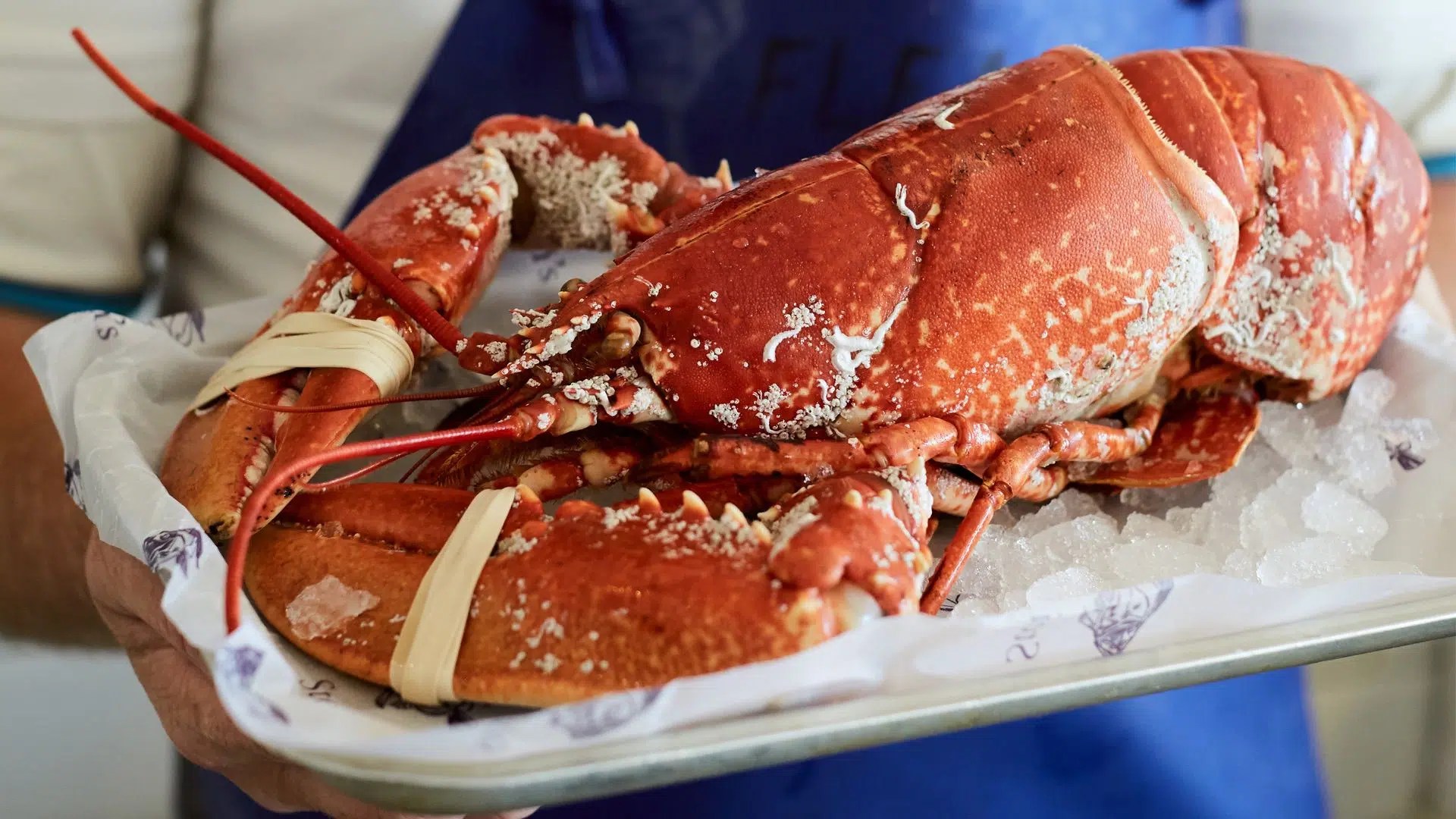 Lobster and Crab cookery course Rick Stein's Cookery School, Padstow