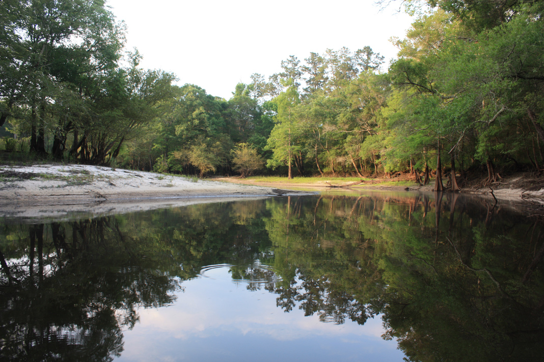 Rick's Waccamaw River photos from the Waccamaw River