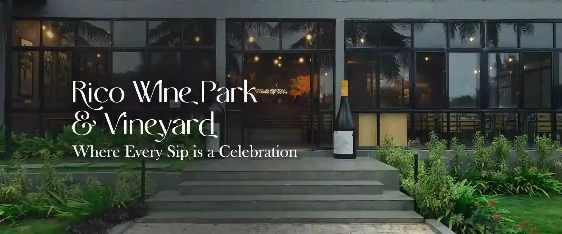 Best Wine Tourism In Bangalore1 Wine Tourism Rico Wines