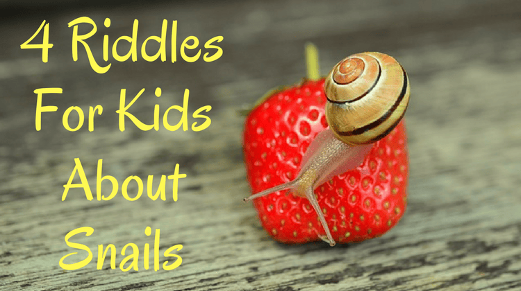 Snail Riddles