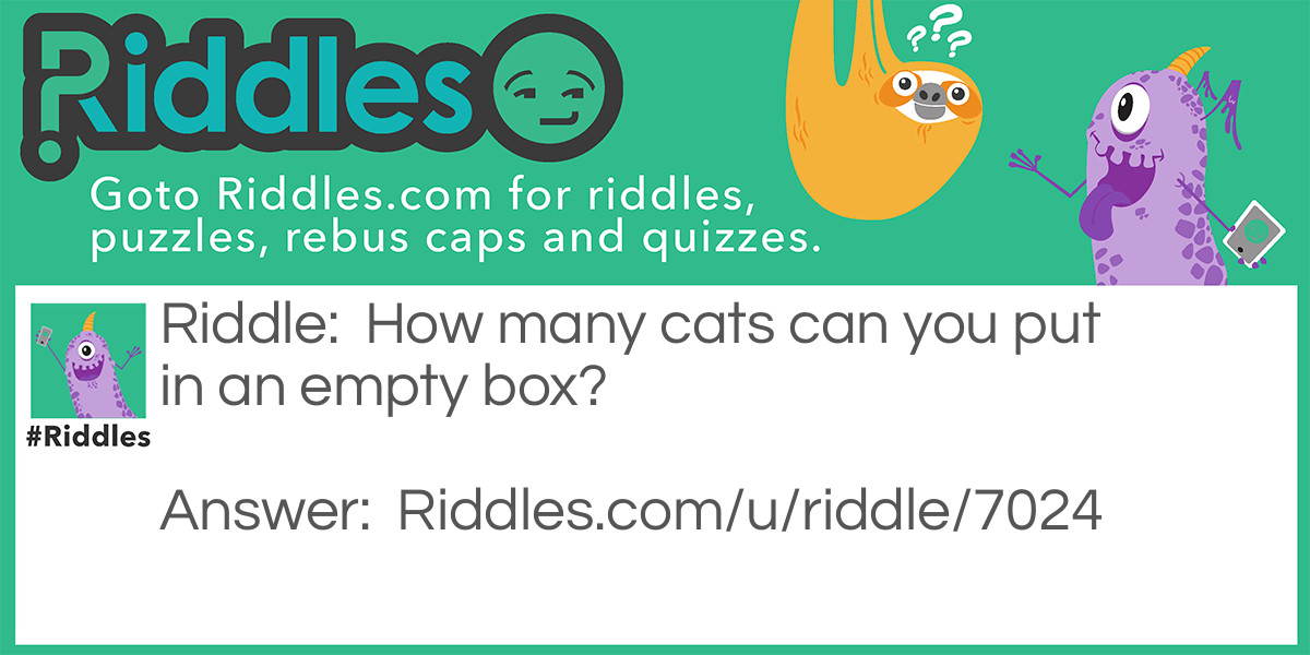 Cat In A Box... Riddle And Answer