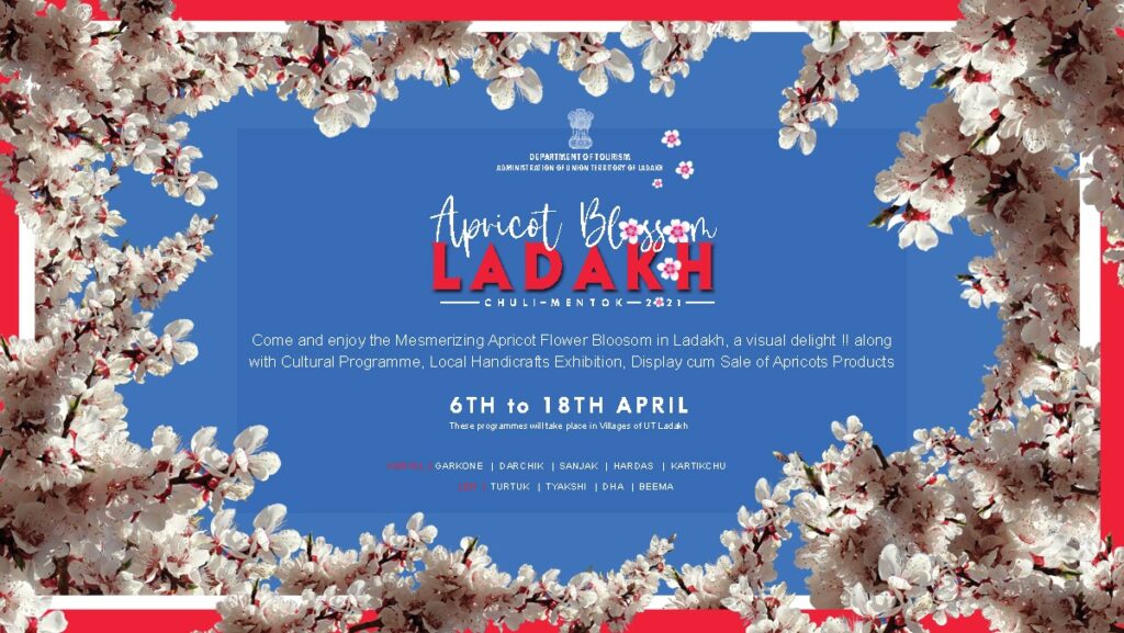 Apricot Blossom Tour of Ladakh