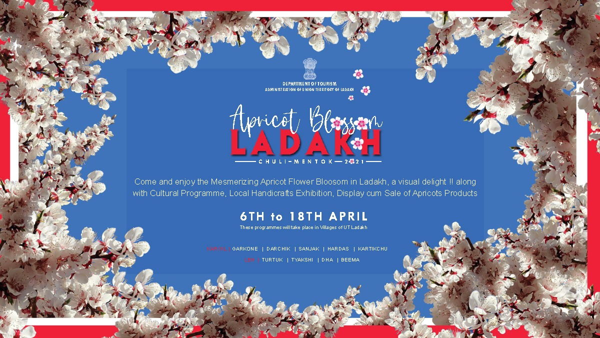 Apricot Blossom Tour of Ladakh