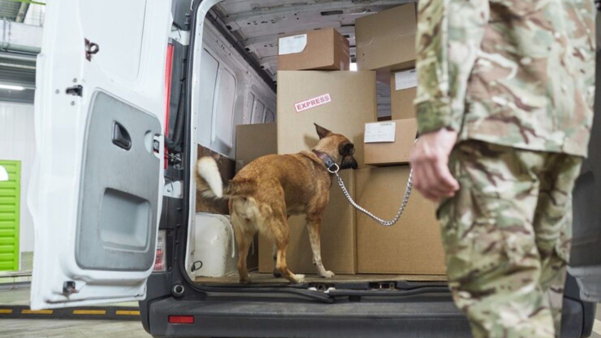 Navigating Military Relocation Challenges