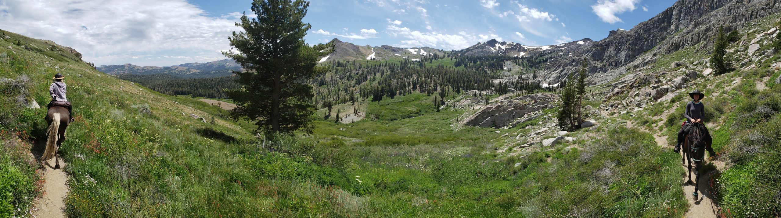 Horseback riding on the PCT near Red Lakes