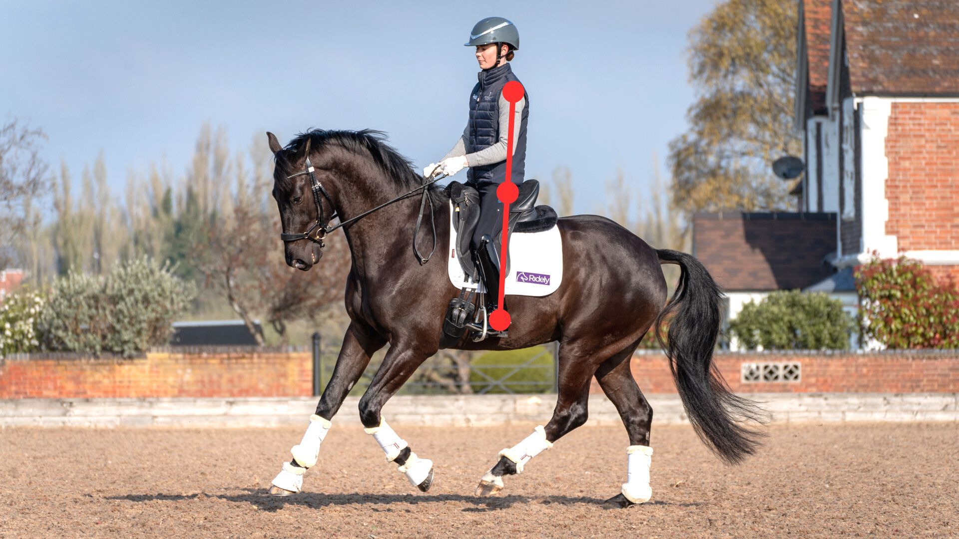 The Key to the Ideal Horse Riding Position Unlocking the Art of