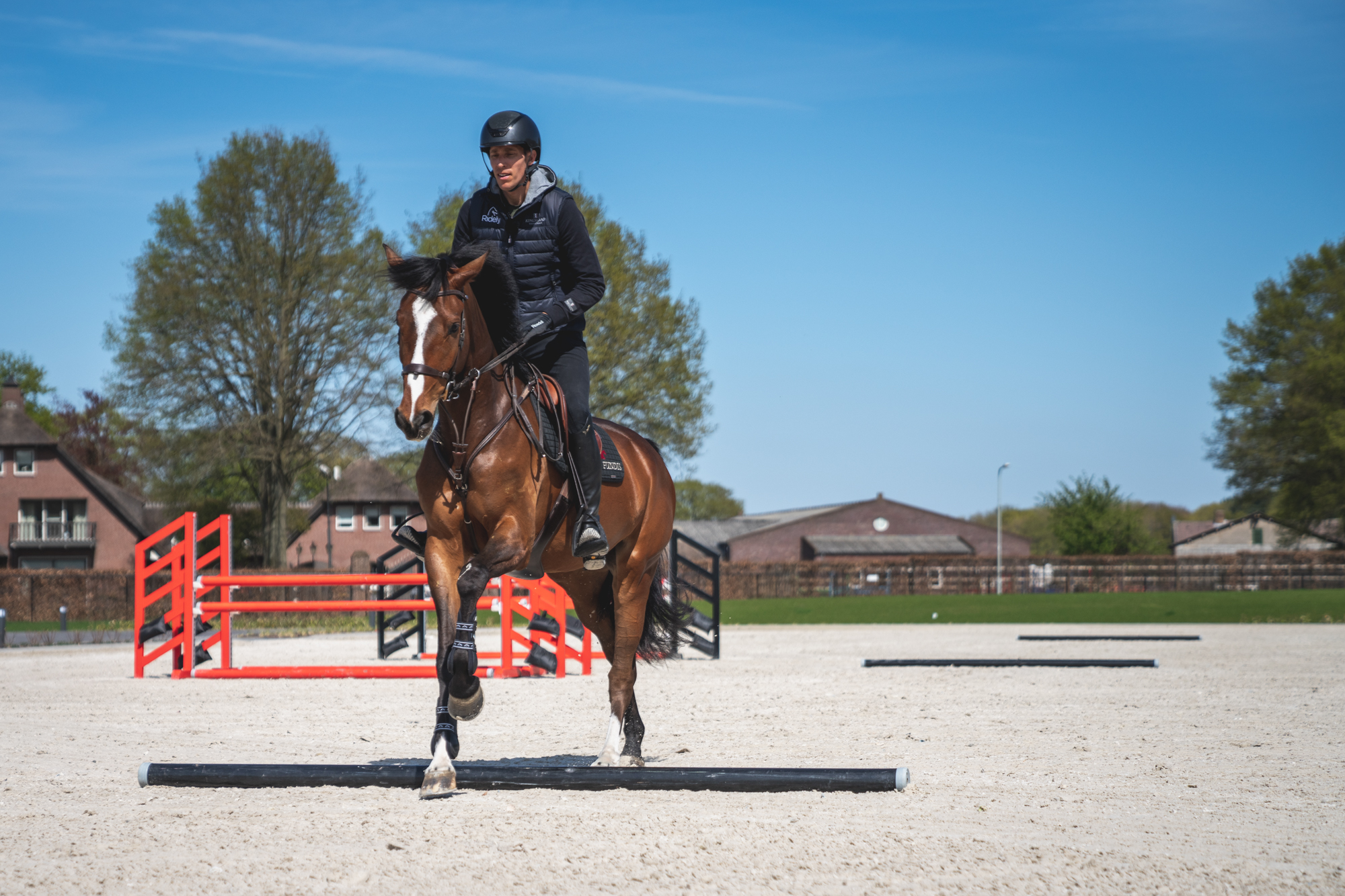 5 Pole Work Exercises for Your Horse with Just 3 Poles! Ridely