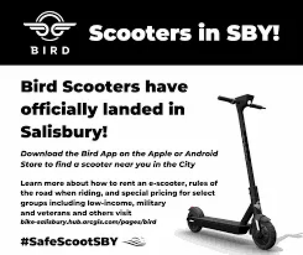 Electric Scooter Rental Guide 2024 Bird, Lime, Sharing Apps